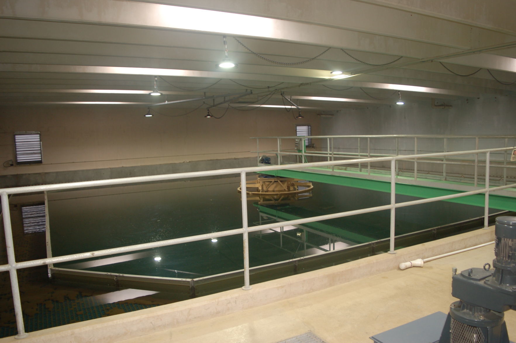 DSC_3193.JPG